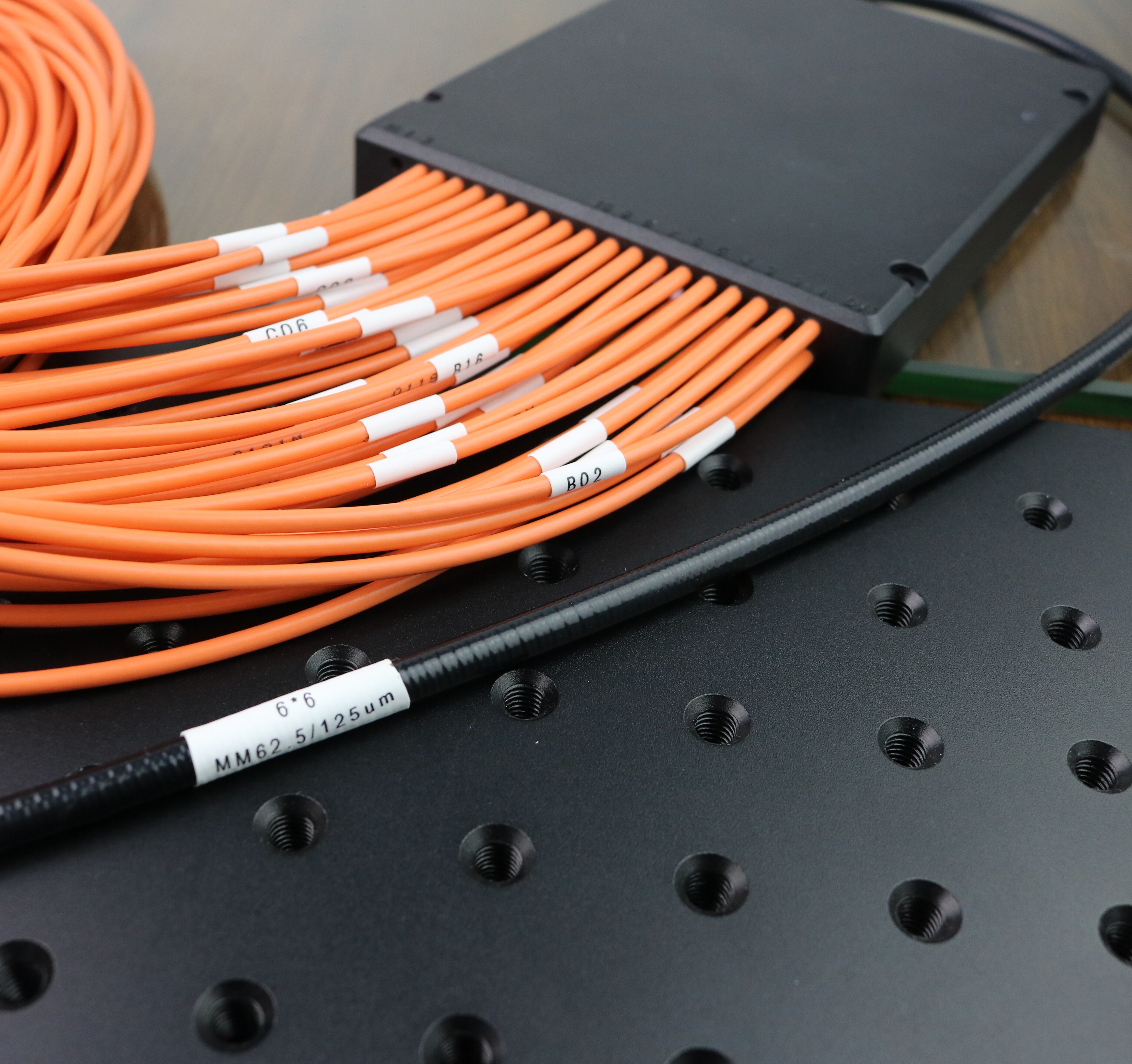 6x6 Square 2D FA MM 62.5/125um Fiber Array with armored tube fiber ...